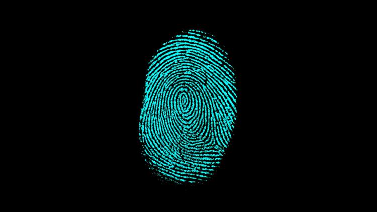 facts about fingerprints