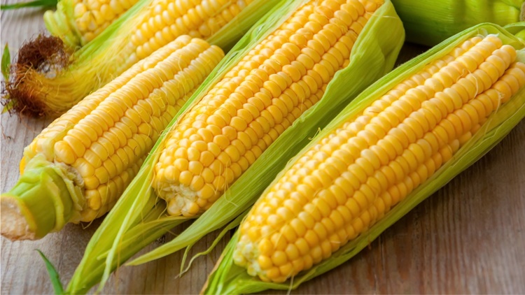 Corn